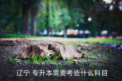 遼寧專升本成,遼寧成人高考專升考試科目:專業(yè)基礎(chǔ)課