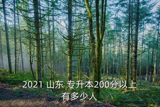 2021 山東 專升本200分以上有多少人