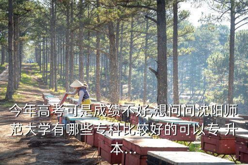 今年高考可是成績(jī)不好,想問(wèn)問(wèn)沈陽(yáng)師范大學(xué)有哪些專(zhuān)科比較好的可以專(zhuān) 升本...