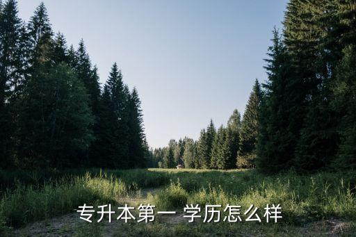  專升本第一 學(xué)歷怎么樣