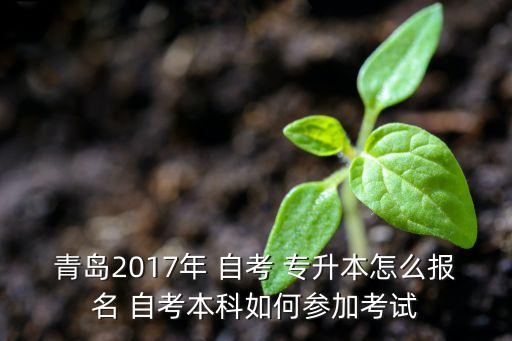 青島2017年 自考 專升本怎么報(bào)名 自考本科如何參加考試