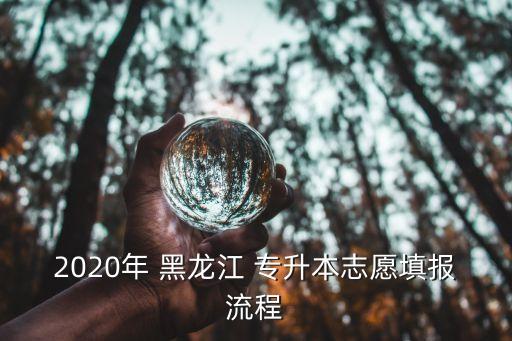 2020年 黑龍江 專升本志愿填報(bào)流程