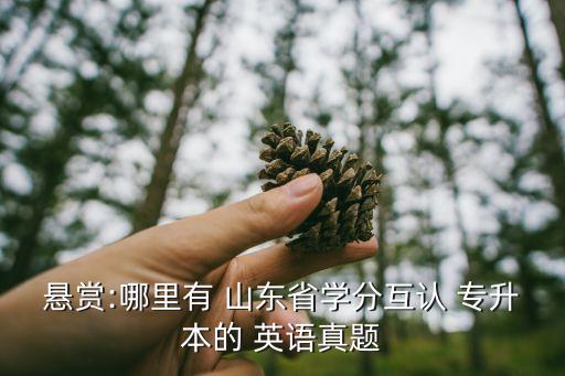 懸賞:哪里有 山東省學(xué)分互認(rèn) 專(zhuān)升本的 英語(yǔ)真題