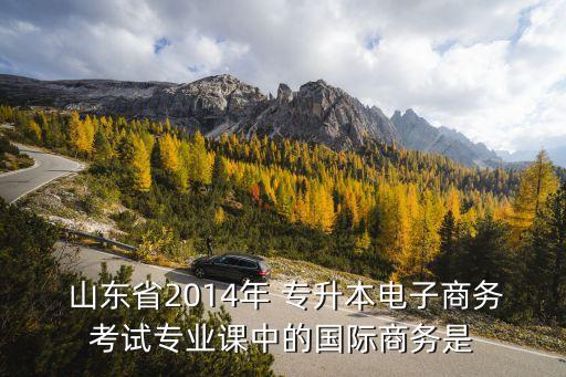  山東省2014年 專升本電子商務(wù)考試專業(yè)課中的國(guó)際商務(wù)是