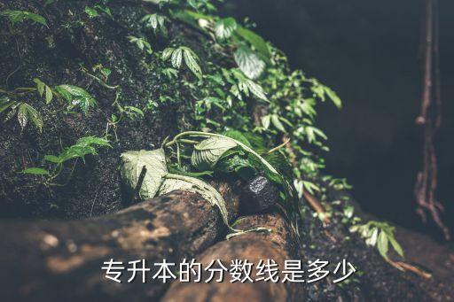  專升本的分?jǐn)?shù)線是多少