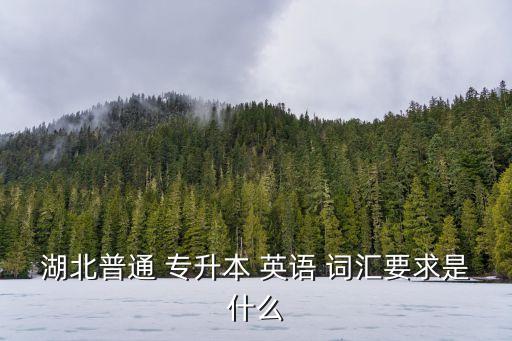 湖北普通 專(zhuān)升本 英語(yǔ) 詞匯要求是什么