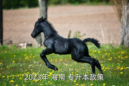 2023年 海南 專升本政策