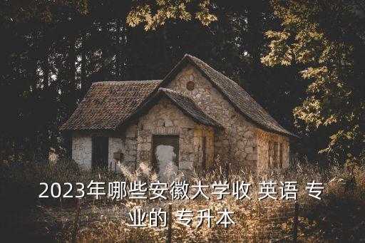 2023年哪些安徽大學(xué)收 英語 專業(yè)的 專升本