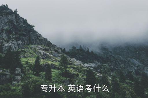  專升本 英語考什么