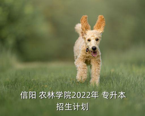  信陽 農(nóng)林學院2022年 專升本招生計劃