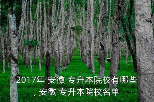 2017年 安徽 專升本院校有哪些, 安徽 專升本院校名單