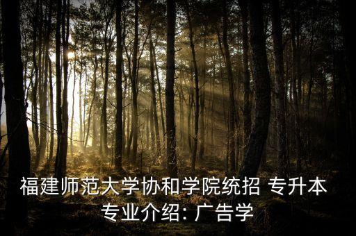 福建師范大學協(xié)和學院統(tǒng)招 專升本 專業(yè)介紹: 廣告學