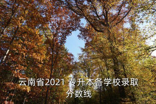  云南省2021 專升本各學(xué)校錄取 分?jǐn)?shù)線