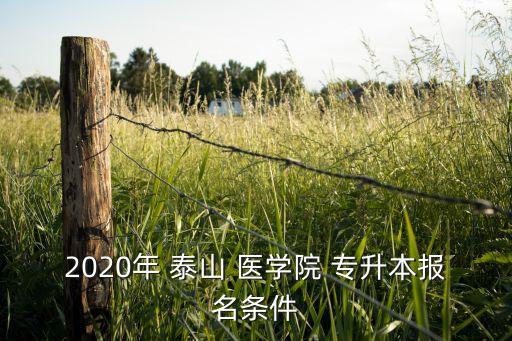 2020年 泰山 醫(yī)學(xué)院 專升本報名條件