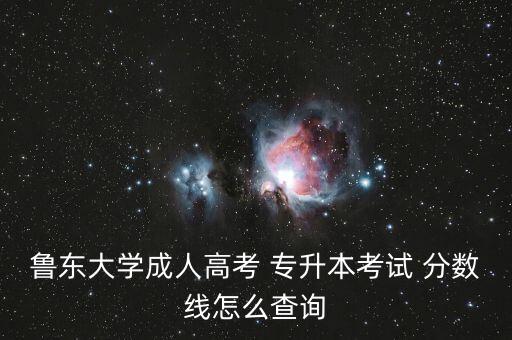 魯東大學(xué)成人高考 專升本考試 分數(shù)線怎么查詢