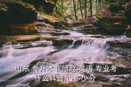  山東 專升本非師范 英語 專業(yè)考什么科目,占多少分