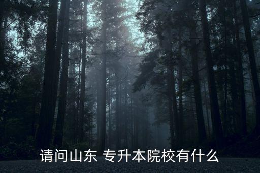 請(qǐng)問(wèn)山東 專升本院校有什么