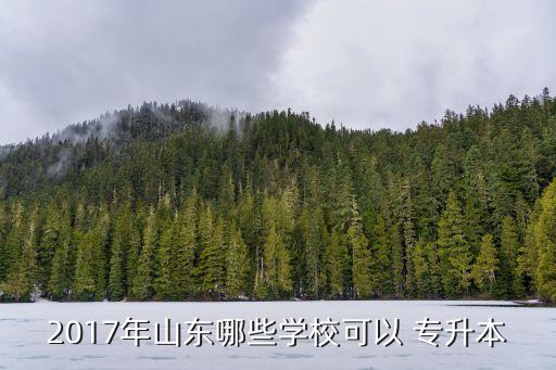 2017年山東哪些學(xué)校可以 專升本