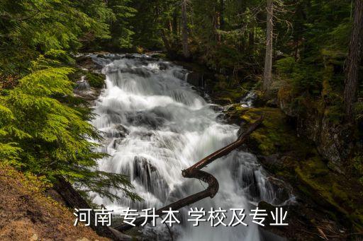 南陽專升本培訓(xùn)學(xué)校,湖南高等?？茖W(xué)府成立武漢理工專升本學(xué)校