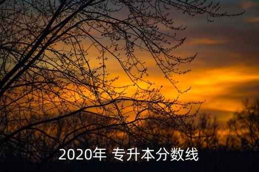 2020年 專升本分?jǐn)?shù)線