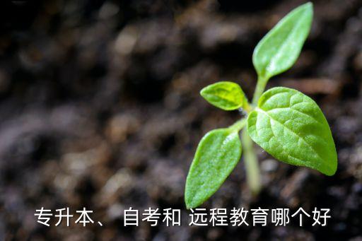  專升本、 自考和 遠(yuǎn)程教育哪個好