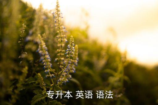  專升本 英語 語法