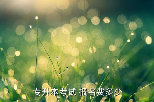 專升本昆明報名費,部分省市學(xué)校要求英語三級以上無不及格記錄