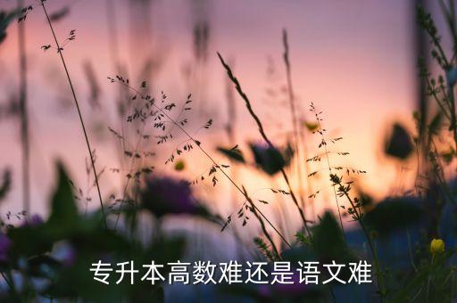  專升本高數(shù)難還是語文難