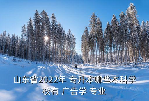 山東省2022年 專升本哪些本科學校有 廣告學 專業(yè)