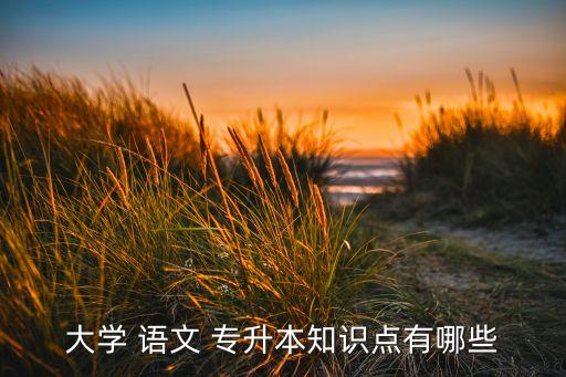 大學(xué) 語文 專升本知識(shí)點(diǎn)有哪些