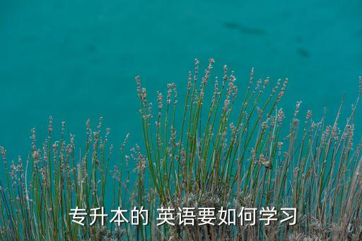 專升本英語網(wǎng)上培訓,專升本of英語學習方法: