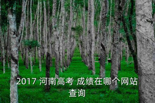 2017 河南高考 成績在哪個網(wǎng)站查詢