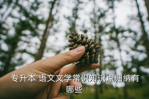  專升本 語文文學(xué)常識(shí)知識(shí)點(diǎn)歸納有哪些