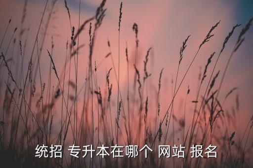 統(tǒng)招 專升本在哪個(gè) 網(wǎng)站 報(bào)名