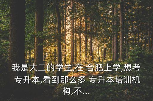 合肥正規(guī)專(zhuān)升本,合肥天翼和精英專(zhuān)升本你們晚上好嗎?