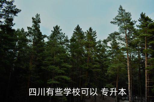 四川天一學院學生專升本,四川省專升本招生院校名單出爐!