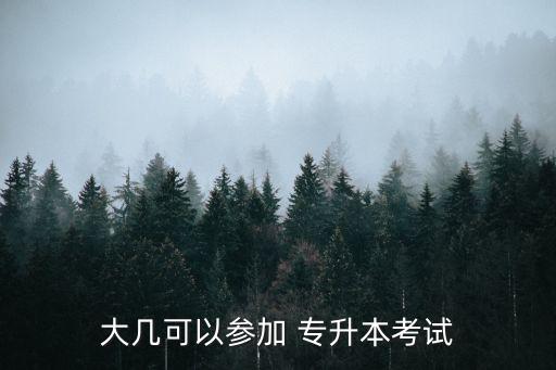 大幾可以參加 專升本考試