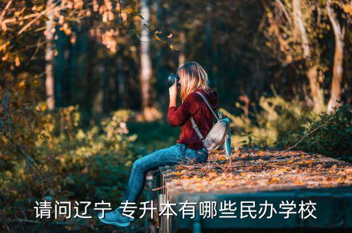 請(qǐng)問遼寧 專升本有哪些民辦學(xué)校