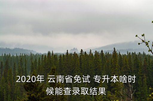 2020年 云南省免試 專升本啥時候能查錄取結(jié)果