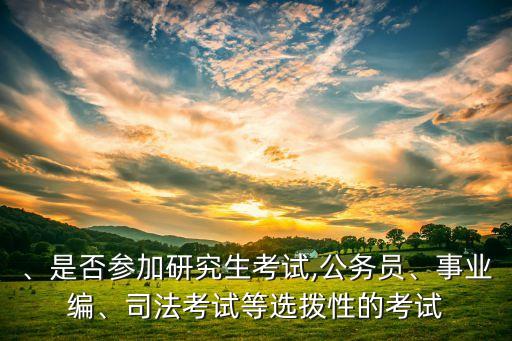 、是否參加研究生考試,公務(wù)員、事業(yè)編、司法考試等選撥性的考試