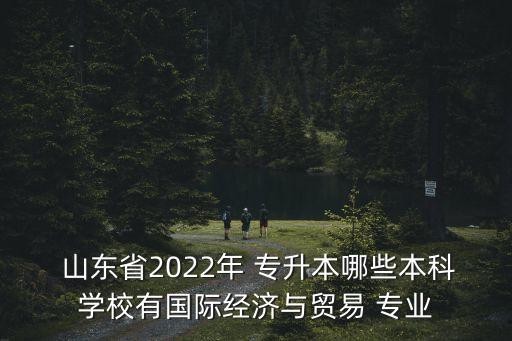  山東省2022年 專升本哪些本科學(xué)校有國(guó)際經(jīng)濟(jì)與貿(mào)易 專業(yè)