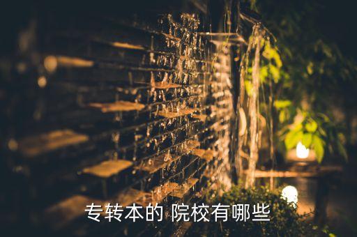 專轉(zhuǎn)本的 院校有哪些