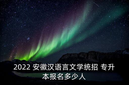 2022 安徽漢語言文學(xué)統(tǒng)招 專升本報(bào)名多少人