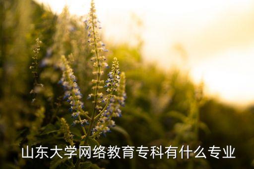  山東大學網絡教育?？朴惺裁磳I(yè)