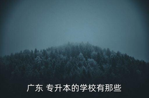 廣東 專升本的學(xué)校有那些