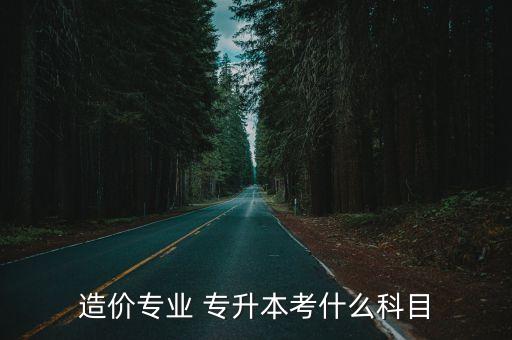 造價專業(yè) 專升本考什么科目