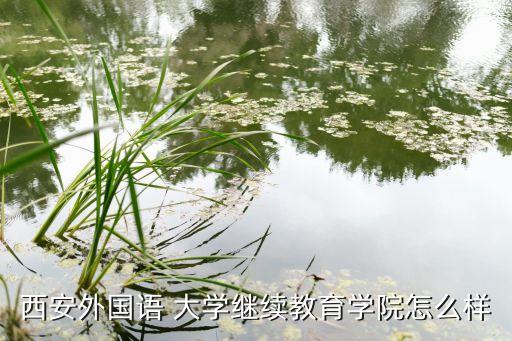 西安外國語 大學(xué)繼續(xù)教育學(xué)院怎么樣