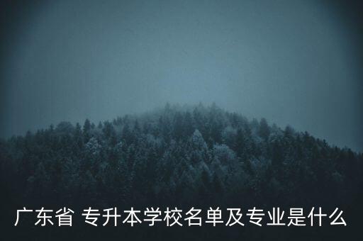 廣東省 專升本學(xué)校名單及專業(yè)是什么