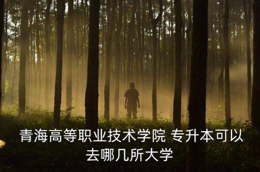 青海衛(wèi)生人才專升本,青海人才衛(wèi)生網(wǎng)實(shí)名認(rèn)證