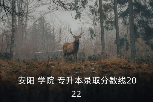  安陽(yáng) 學(xué)院 專升本錄取分?jǐn)?shù)線2022